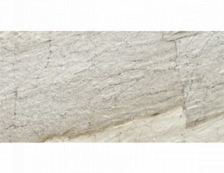 Fitch Cloud 30.8x61.5