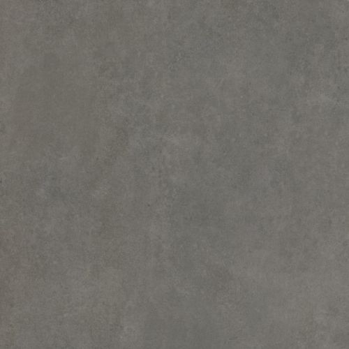 Arcides Grey 61x61