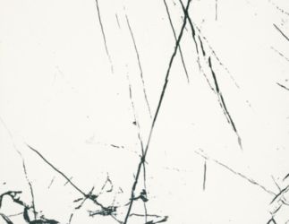 Agatha White Glossy 61x61