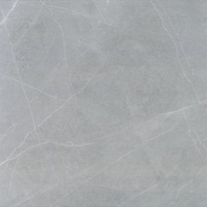 Elegant Grigio 60x60