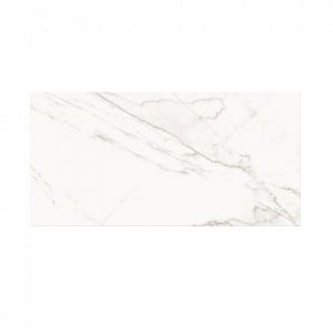 PS804 White Glossy 29.8x59.8