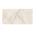 Champagne 3631 Glossy 30×60