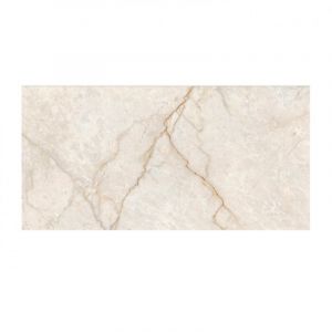 Champagne 3631 Glossy 30×60