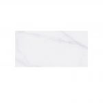 Dover White Shine 30x60