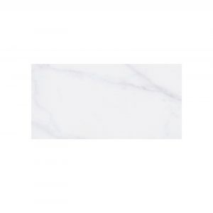Dover White Shine 30x60