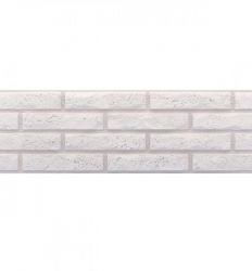 Ascot Blanco 20x60