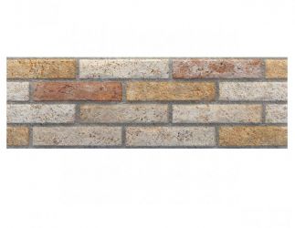 Ascot Mix 20x60