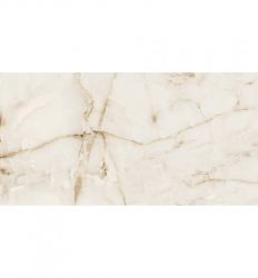 Metro Onyx Glossy 60x120