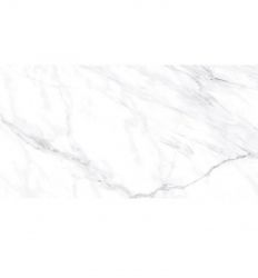 Montebello Polished 60x120