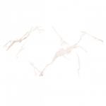 Calacatta Bianco 60x120