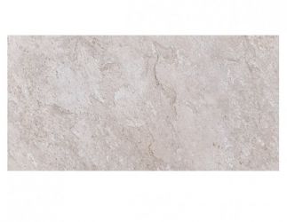 Bologna Silver Matt 60x120