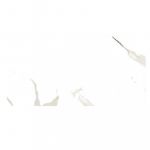 Carrara 60x120