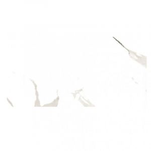 Carrara 60x120