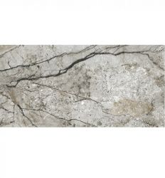 Marble Skin Grey Matt 59.8×119.8
