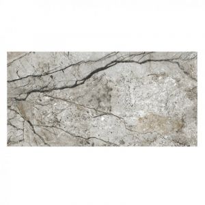 Marble Skin Grey Matt 59.8×119.8
