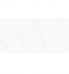 Barbados Pulido 60x120