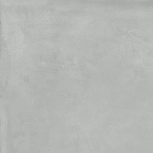 Dylon Gris 60.8x60.8