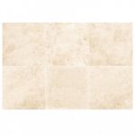 Calcarea Gold 60.4×60.4